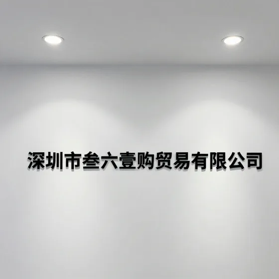深圳市叁六壹购贸易有限公司